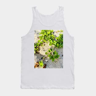 Beach Grass, Oman Tank Top